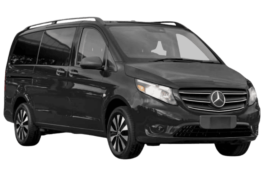 Special Vehicle (WAV/Pet)